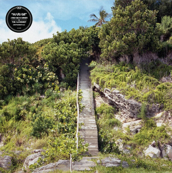 Armand Hammer Sir Benni Miles Lyrics and ratings Rate Your Music